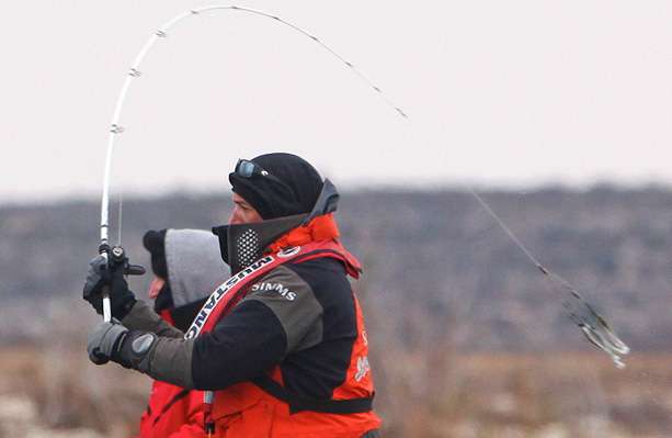 The umbrella rig has been known for putting plenty of bow in a fishing rod. 
