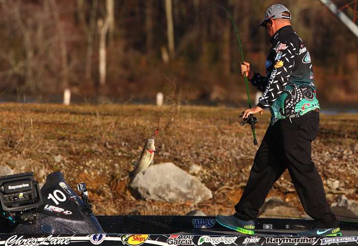 Crankbaits were the bait of choice for most of the competitors in the field. 