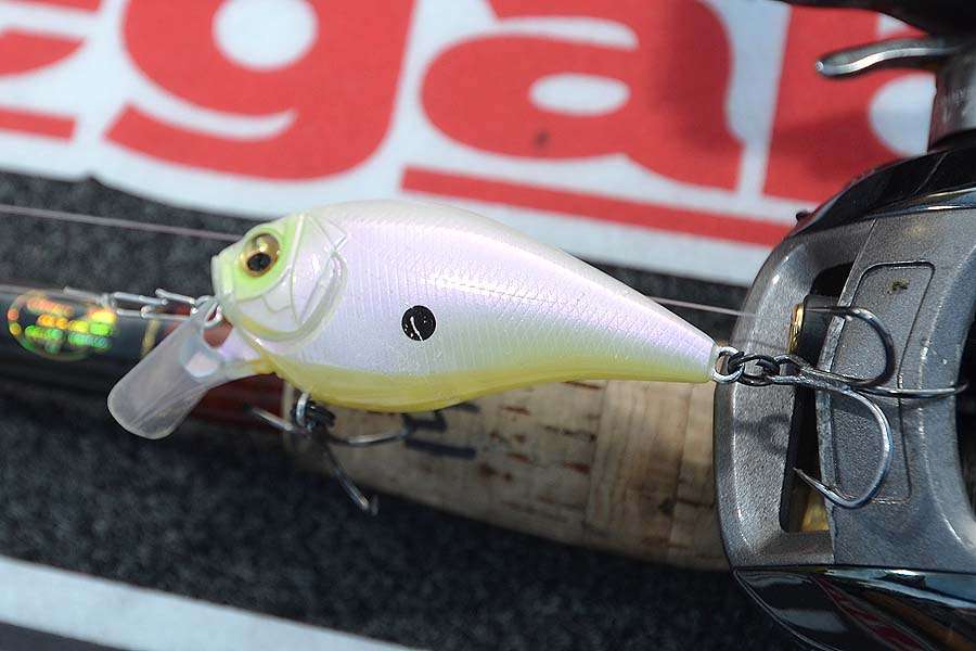 The Megabass FX Knuckle 60 in the Bahama Milk Pearl color also accounted for a few of Eversâ bass. The two-position bill lets you choose between 1-foot or 3- to 5-feet running depths. Evers chose the 1-foot setting so he could fish the bait around shallow Gator grass.