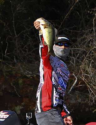 14th: Believe it or not, Brandon Palaniuk's pattern was to follow the path the tornado took when it ripped through Alabama in 2011. He focused on fallen trees with grass, close to creek channels. His fish were in 1 to 3 feet, and his main bait was a 3/8-ounce Terminator jig with an Uncle Josh Phantom Craw, both black/blue.