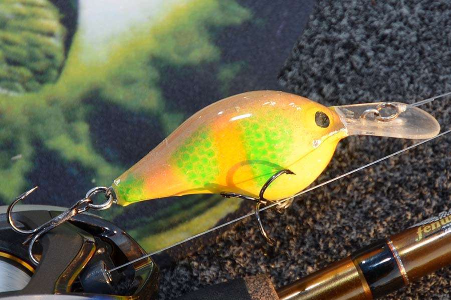 This Rapala DT-6, custom painted by Gordon Monroe to resemble a pumpkinseed sunfish, accounted for most of DeFoeâs bass at the Classic. He ground it over riprap the first two days and over submerged, main-lake grassbeds the final day.<br>
A Fenwick Elite Tech baitcasting rod, a Pflueger Supreme 5.4:1 reel and 10-pound Berkley 100% Flourocarbon was his workhorse outfit.
