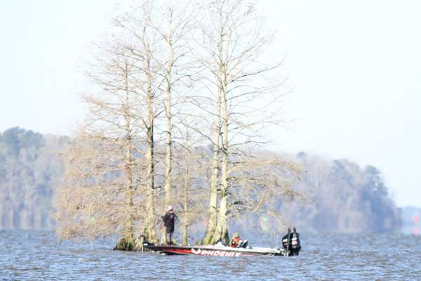 An Elite angler fishes an isolated clump of cypress trees.
