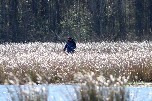 Bradley Roy is standing in a boat, just surrounded by reeds looking for spawners.
