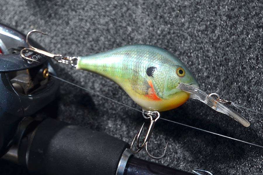 A Bluegill color Rapala DT-6 also put a few heavy bass in Tharpâs livewell.<br>
âThat baitâs been very good to me over the years,â Tharp said.
