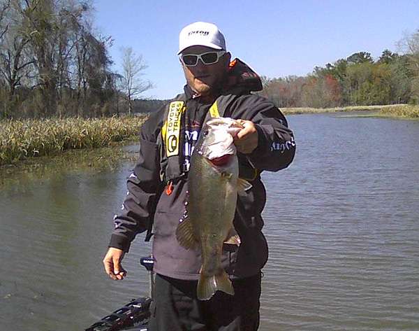Hank Cherry lands a solid Seminole fish.