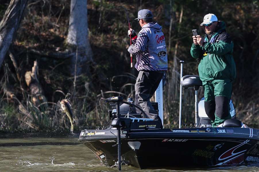 Fish number four is a good keeper and will make his morning look good.
