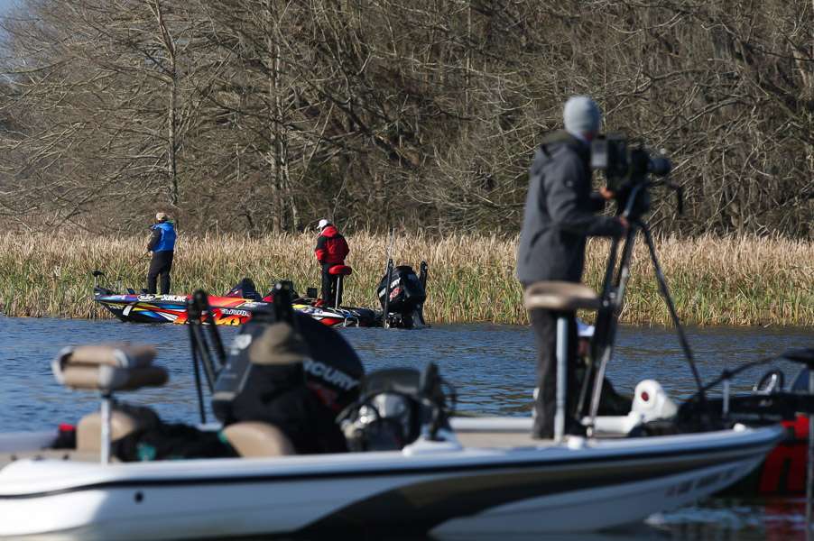 Morizo hits the edge of the reeds.