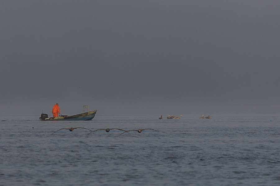 This commercial angler was busy pulling his catfish nets as the fog was lifting.