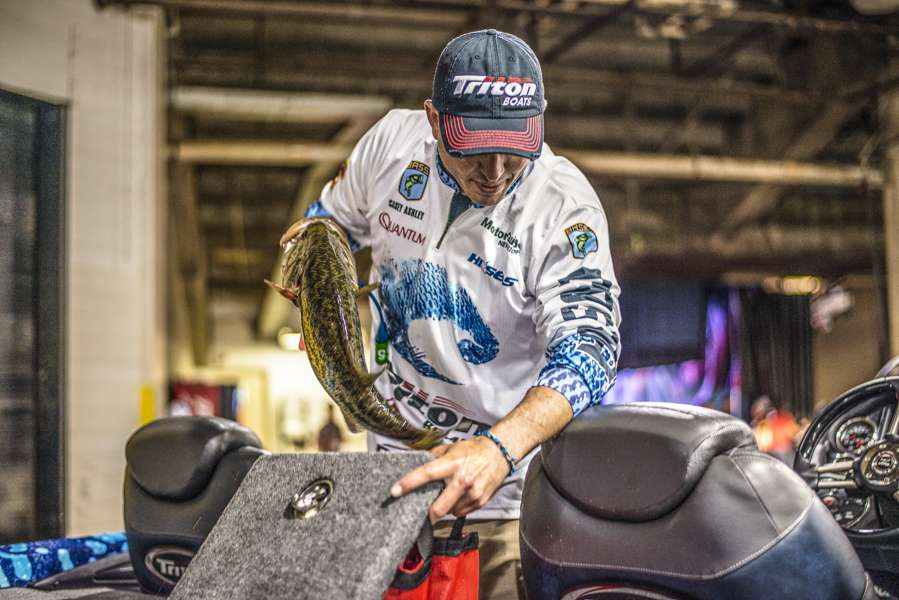 Casey Ashley checks his fish while waiting to weigh in.