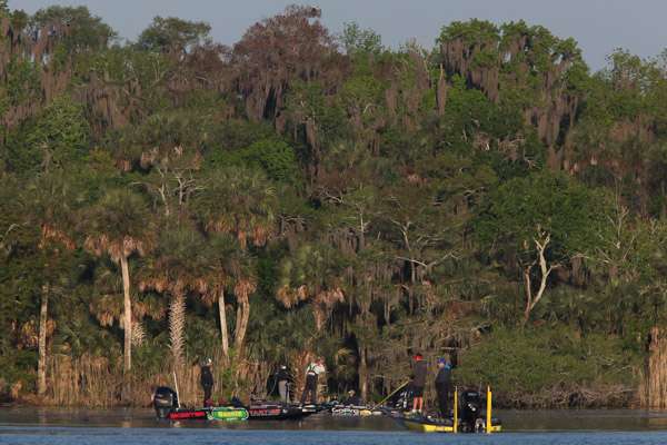 If you look atop of the trees you will see an Eagle keeping a very close eye on the Elite Anglers below him.  