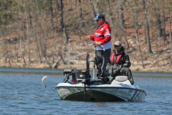 Which seemed to be everywhere.