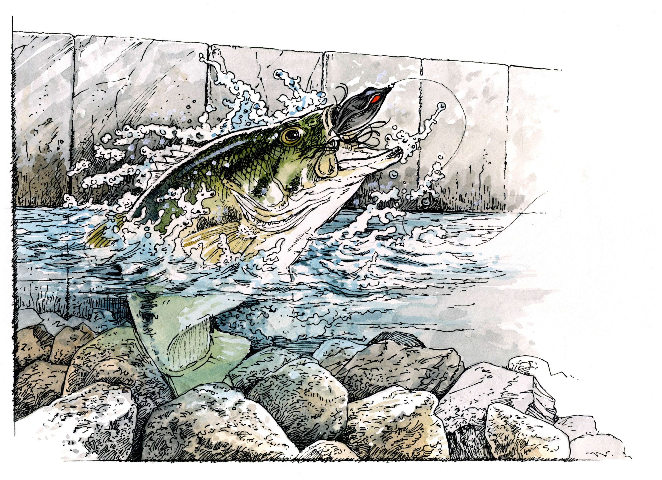 Armstrong specialized in capturing the movement of striking bass and rippling water.