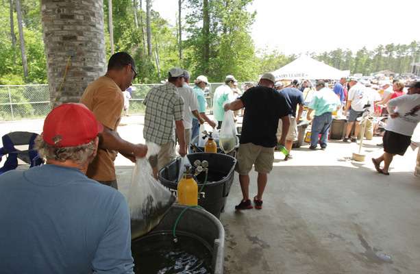 Another hour ends with several competitors in line to weigh their fish. 