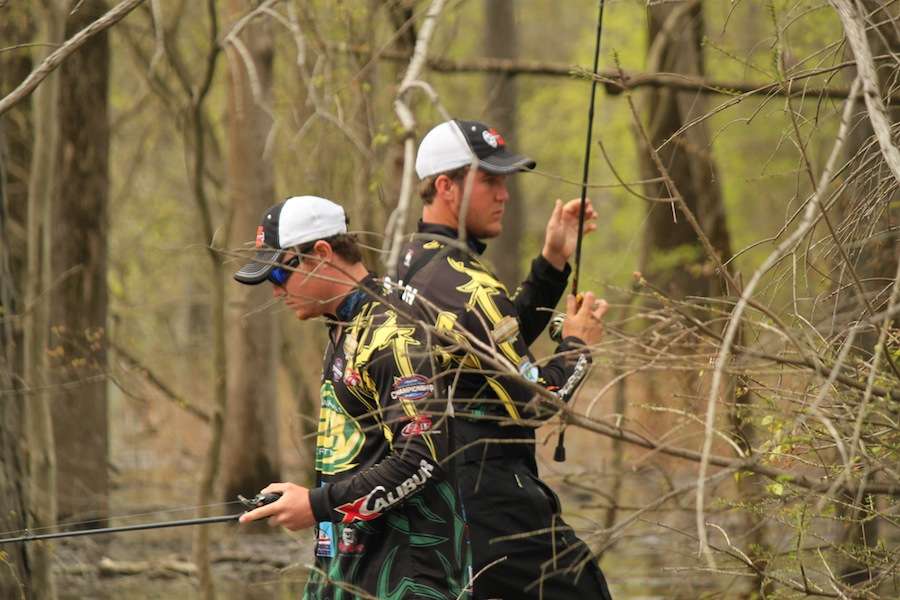 Smith and Sarna both work topwater frogs through the trees. 