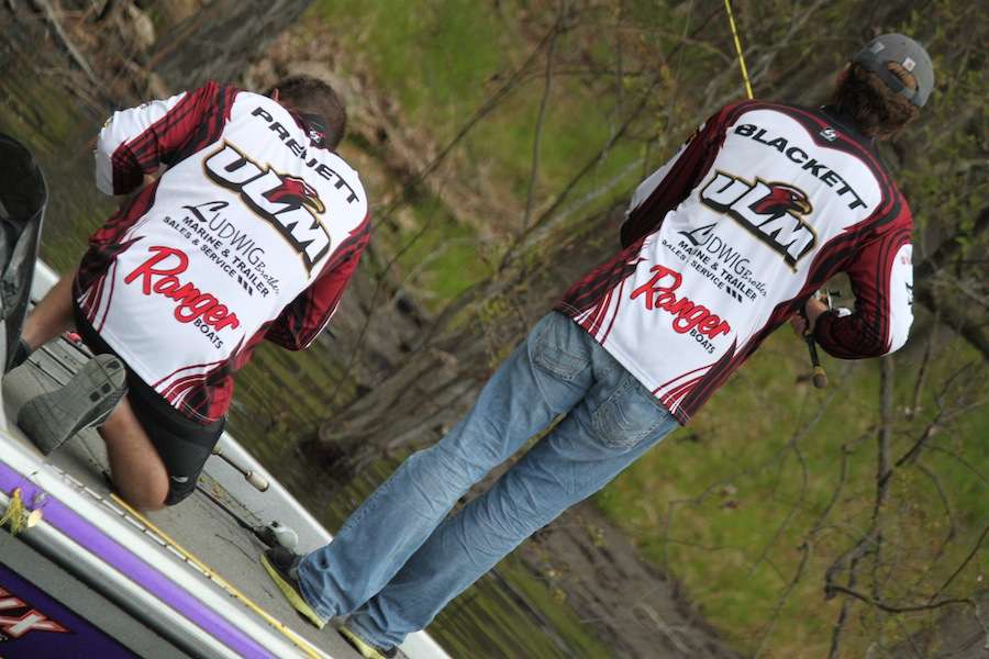 Preuette and Blackett have to retie regularly due to the wear and tare of the branches. 