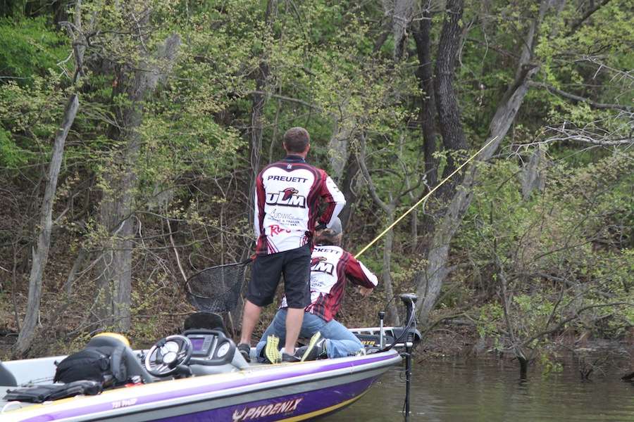 Blackett hooks up and is brought to his knees as a 5-to-6-pounder surfaces and spits the hook. 
