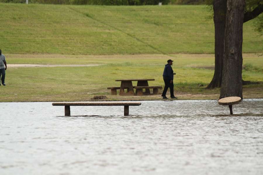 Picnic tables and park benches reemerge. 
