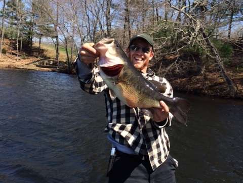 Jason Gentile, of East Haddam, Conn., found this 5-pound, 13-ouncer in April.  He was using a 1/2-ounce Terminator spinnerbait (bluegill) 6 feet deep in 51-degree water.