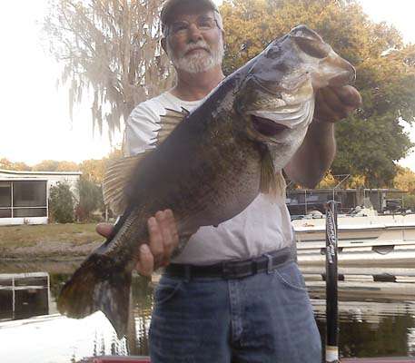 <b>James Wisenbarger</b>
10 pounds, 15 ounces
Lake Istokpoga, Fla.
Reaction Innovations Trixie Shark (bullfrog)
