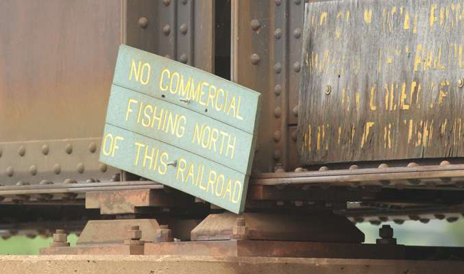 At the mouth of Piney Creek, a crooked sign tells commercial fishermen to stay out.