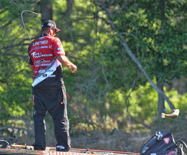 Bringing in a keeper with it. Like this one, his third of the day.