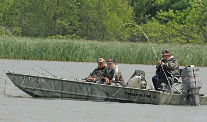Out on the river, a cat fisherman reels in a blue catfish.