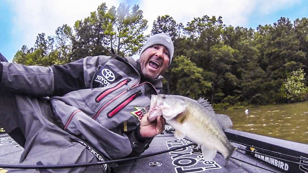 For superstitious reasons, Gerald Swindle never wants to get bit on his first cast. So he threw out into the middle of a pocket at his starting spot... and this 4-pounder jumped all over his spinnerbait. 