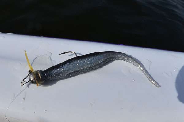 If he doesn't use a Fluke, he uses a Bass Assassin jerkbait. Interestingly, the head is tin, not lead. 