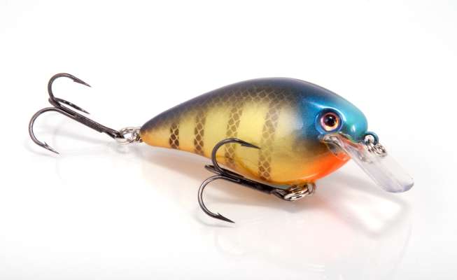 <p>
	<strong>5. No. 622  </strong></p>
<p>
	His fifth choice is Strike Kingâs No. 622 color, a more realistic-looking bluegill pattern. I like this when there are no shad in the lakes and the main forage is bluegill,â he said. âItâs got a blue patch on the front just like a bluegill has and is great around the spawn and the spring.â</p>
