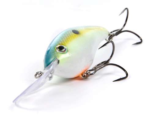 <p>
	<strong>2. Chartreuse sexy shad </strong></p>
<p>
	VanDamâs second favorite is a variation of sexy shad, but is a little more visible.  âChartreuse sexy shad is great on a lot of the Tennessee River lakes that have a little color in it; it stands out a bit more,â he said.</p>

