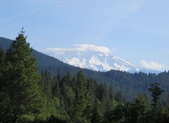 Mount Shasta in northern California rose above the trees and was visible for what seemed like 100 miles.
