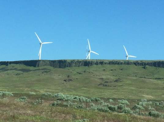 â¦ and were fascinated by the plethora of wind turbine farms.