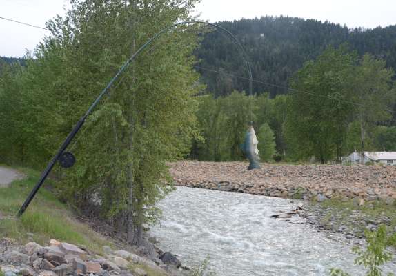 Montana welcomes us with fishing art over the Kootenai River.