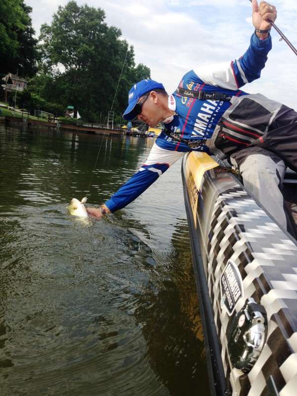 <p>James Niggemeyer lands a nice one for a limit. Photo by Bassmaster Marshal Ryan Fisk.</p>
