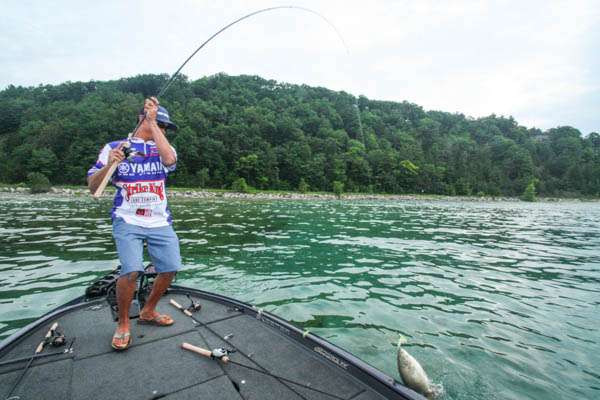 8:06 a.m. Zaldain prepares to swing aboard the smallmouth that hit his spinnerbait on a rock-strewn flat.