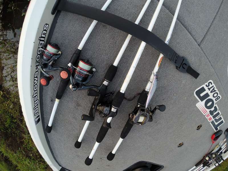 More of Big Show's baits. 