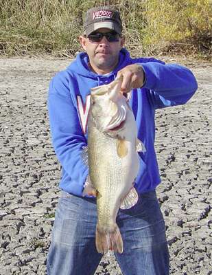 <b>Frank J. Tellez</b>
10 pounds, 7 ounces
Lake OâNeil, California 
Strike King Redeye Shad (chartreuse baitfish)