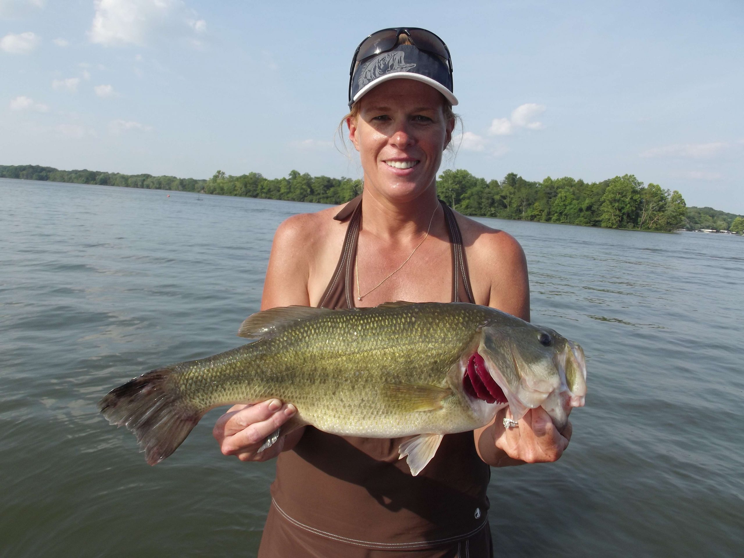 Dianna Montgomery, Tennessee 