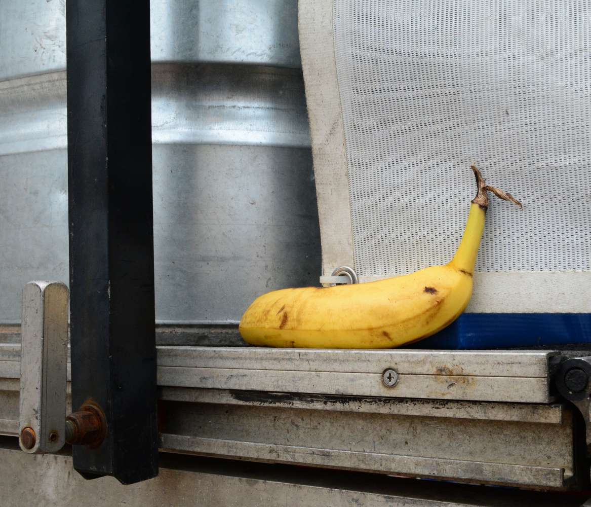 A banana on a boat is bad luck; everybody knows that. But a banana on stage? Not sure what that means.