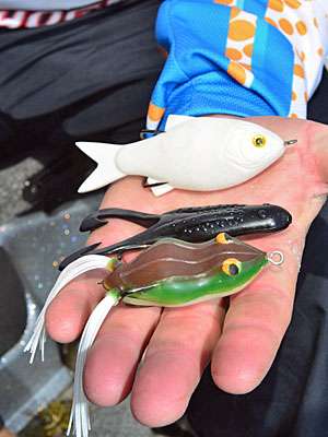 His selection consists of, top to bottom, a Picasso Shad Walker, a Zoom Horny Toad and a Snag Proof Fredâs Frog.