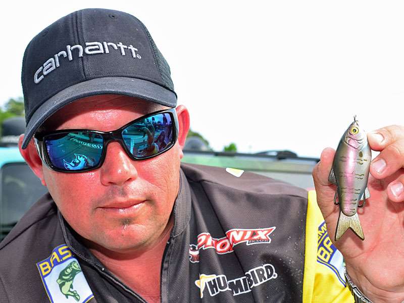 Picasso Shad Walker â âThis thing has a big profile, throws a mile and is better when theyâre eating baitfish, not frogs.â