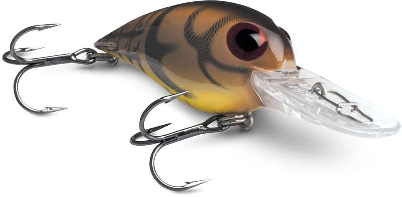 Storm 
Original Wiggle Wart
This is mossback craw.