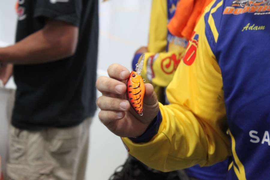 This is the Howeller that Randy Howell used in the 2014 Bassmaster Classic. 
