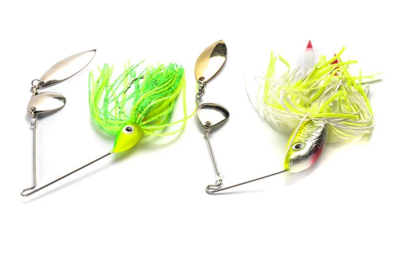 <p>The King Kong spinnerbait is named for its plus-size head, which is made of a high-density foam rather than a metal. This allows Fish Hawk to control the sink rate of the bait better, which keeps it in the strike zone longer.</p> 
