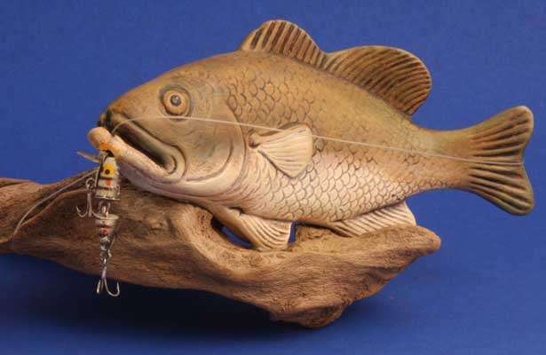 2. This angler has one bass: 