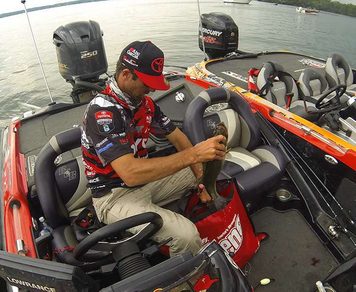 Mike Iaconelli bags his fish.