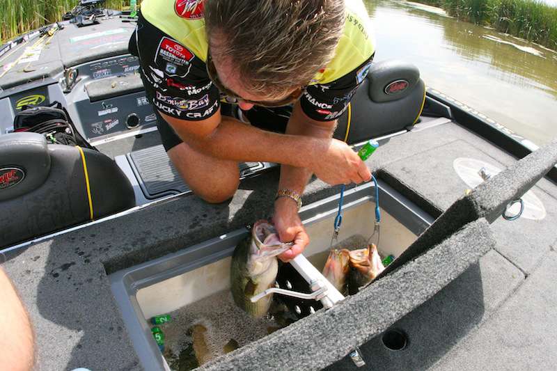 After Reese finished culling on Day 2, he weighed in 16 pounds, 13 ounces, which moved him up to 33rd place in the standings. The sun didn't shine and the wind blew Saturday, which destroyed his frog bite. Reese finished the tournament in 50th place. But he made the Top 50 with that Friday performance under pressure and earned $10,000. The 45-year-old Auburn, Calif., pro goes into the Toyota Bassmaster Angler of the Year Championship next month ranked 8th in AOY points. He can't win AOY, but he could finish as high as fourth. And that's some money Skeet Reese doesn't want to leave on the table.