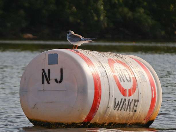 This buoy tells the anglers they are now in New Jersey. 