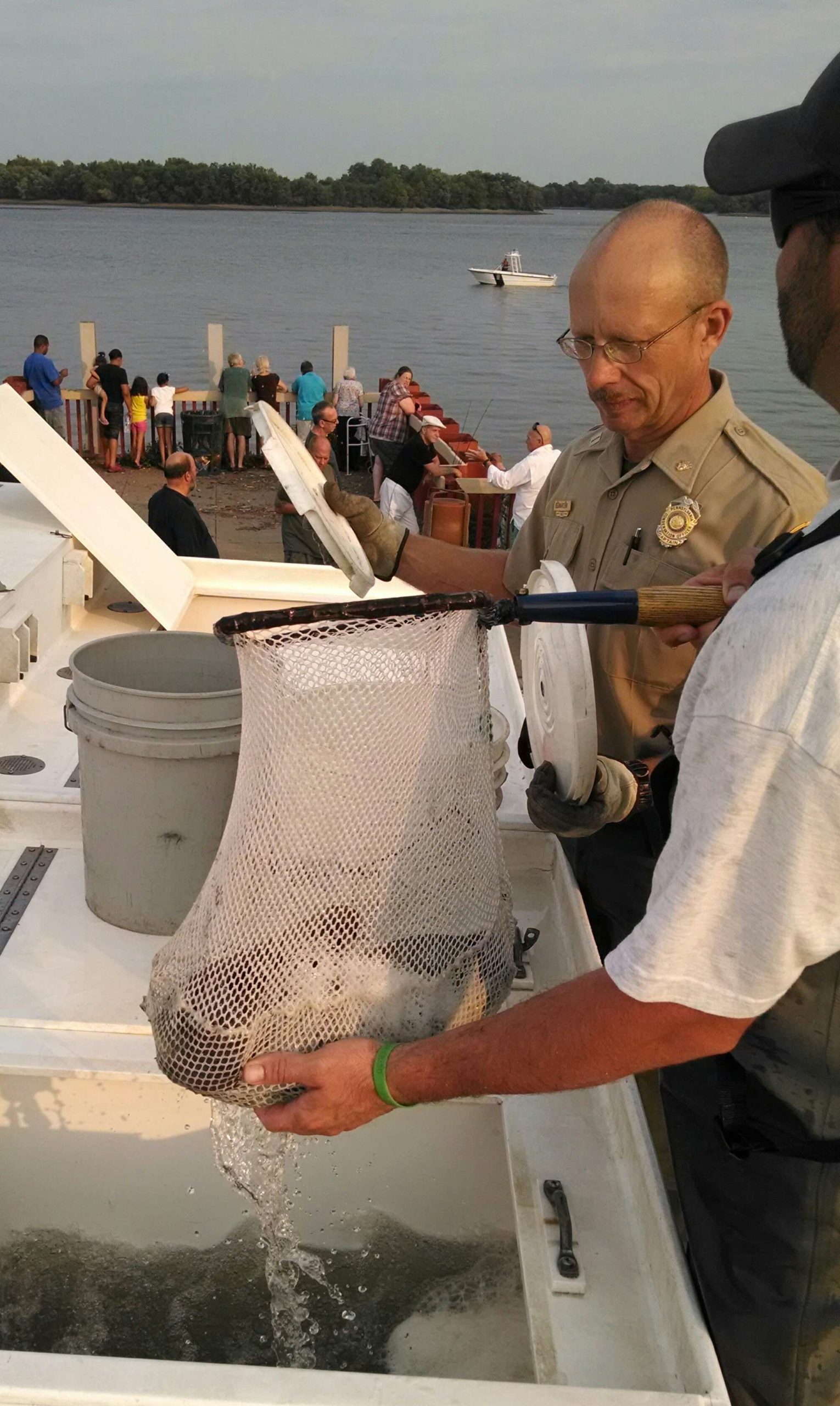 There was no other option for us at that point than to dip the fish out of the truck's tanks, put them in buckets and nets, and hand-carry them to the water. Here, Ray Bednarchik, PAFBC law enforcement captain, and Joe Tusing begin dipping the fish out of the tanks via net.