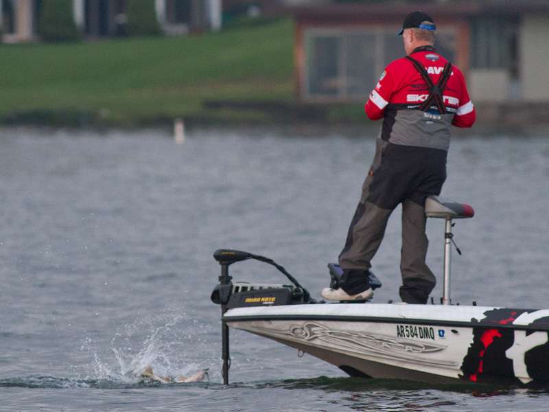 Mark Davis started his day like many of the anglers: getting bit.